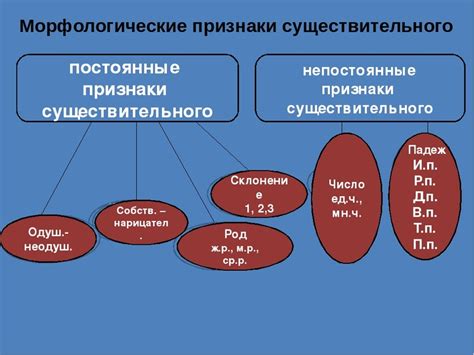 Какие особенности имеет выражение определения существительным?