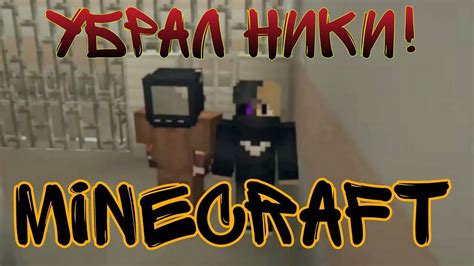 Какие плюсы и минусы убирания ников над головой в Minecraft