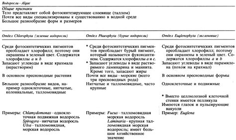 Какие погодные условия лежат в основе названия мультифоры?