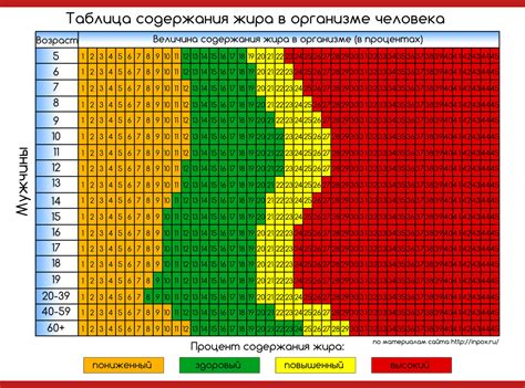 Какие показатели нужно вводить в калькулятор процента жира в организме для мужчин онлайн