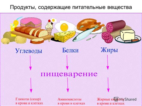 Какие польза и питательные вещества содержит блюдо