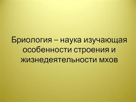 Какие последствия имеет тупиковая ветвь эволюции мхов?