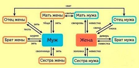 Какие правила устанавливают степень родства