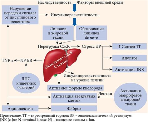 Какие признаки свидетельствуют о наличии ВСД?