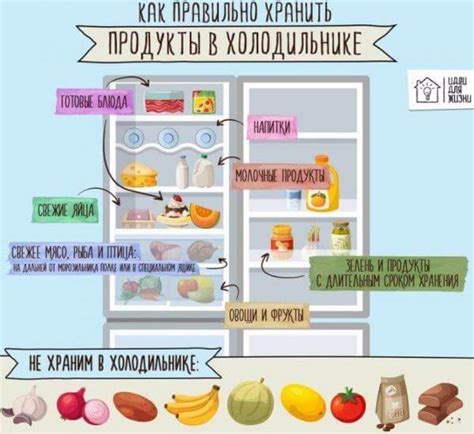 Какие продукты следует избегать хранить с опятами в холодильнике