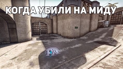 Какие риски связаны с установкой читов в CS GO?