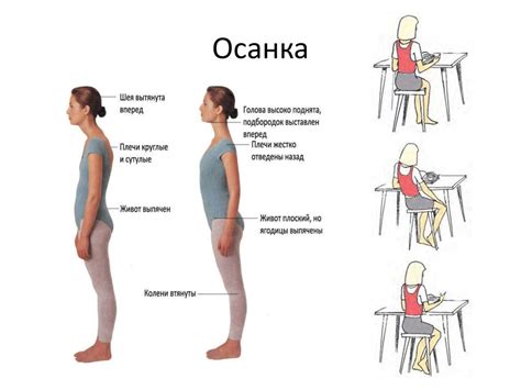 Какие способы коррекции этого поведения существуют?