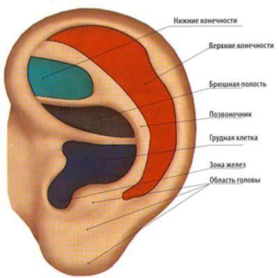 Какие существуют методы лечения оттопыренных ушей у детей?