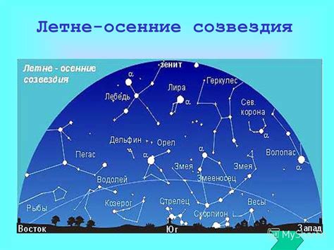 Какие существуют созвездия на ночном небе и в какое время их можно увидеть?