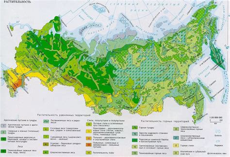 Какие типы растительности использовать