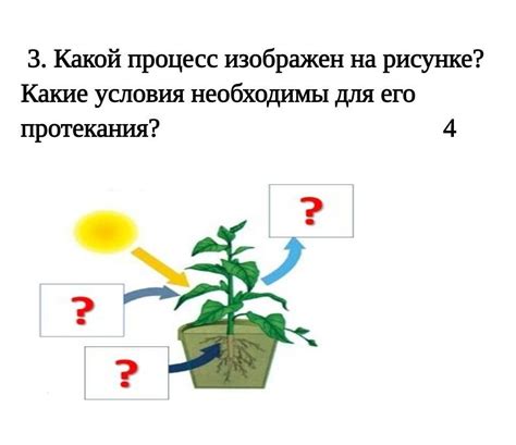 Какие условия необходимы для его возникновения