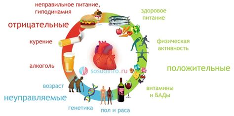 Какие факторы могут негативно повлиять на состояние костей и суставов