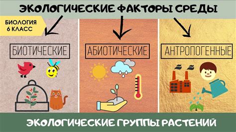 Какие факторы могут привести к появлению запаха аскорбиновой кислоты в окружающей среде