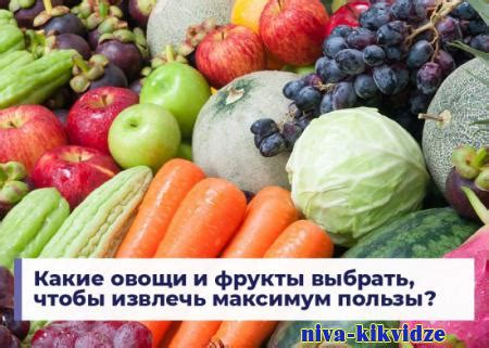 Какие фрукты выбрать и как их подготовить