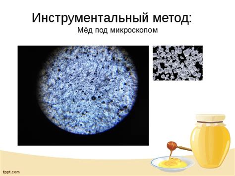 Какие элементы меда видны под микроскопом?