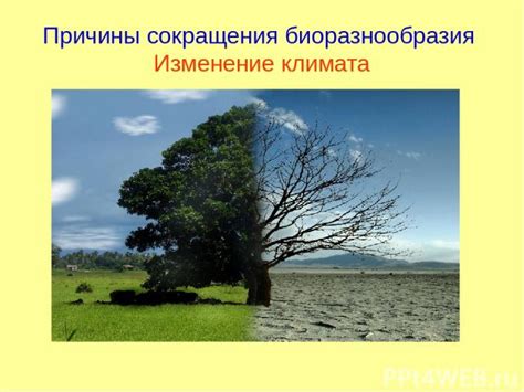 Каковы последствия резкого континентального климата для растительного и животного мира?