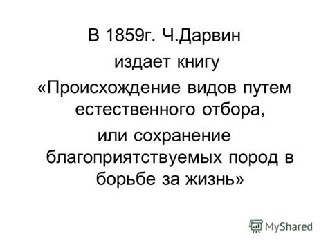 Каковы предпосылки возникновения Цитадели безправия?