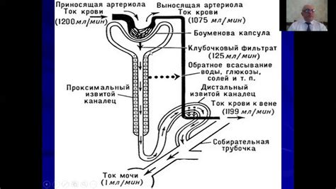 Каков механизм образования вьюги