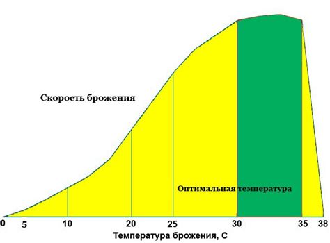 Какое влияние оказывает температура на процесс брожения браги?