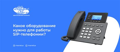 Какое оборудование нужно для проверки iPhone?