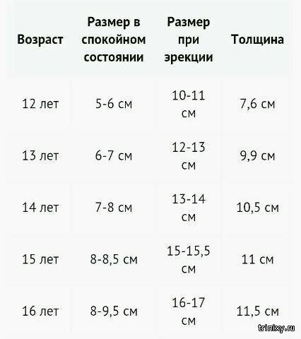 Какое оптимальное сочетание материала и размеров выбрать?