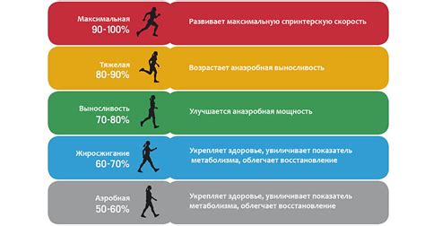 Какой пульс нужен для сжигания жира: определение индивидуальной зоны