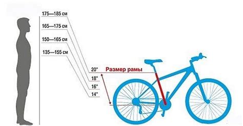 Какой размер должна быть рама?