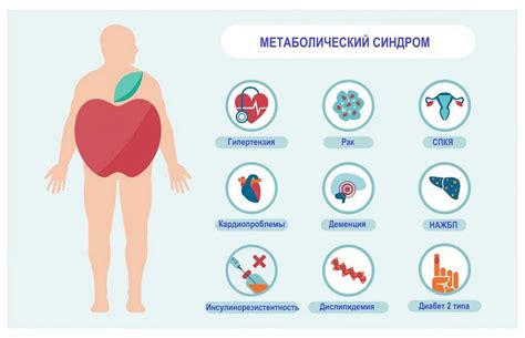 Какую роль в повышении Базального метаболического балла играет физическая активность?