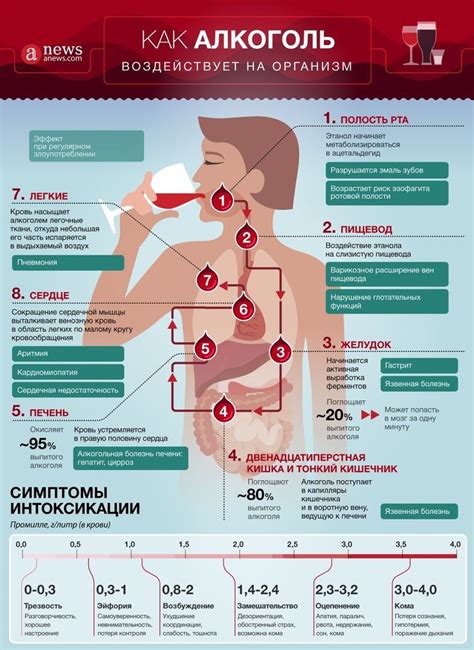 Как Ляпко воздействует на организм