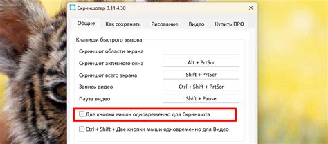 Как активировать функцию Алиса в книге - простые шаги