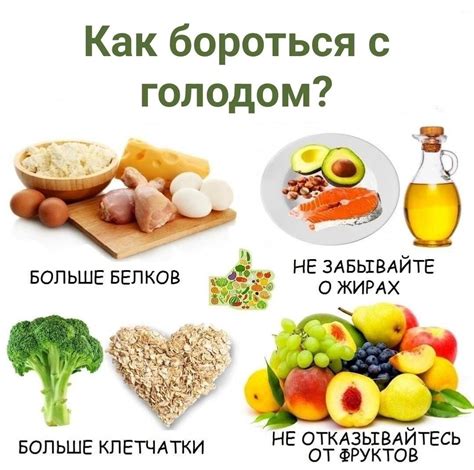 Как бороться с постоянным голодом кошки