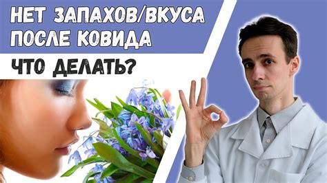 Как вернуть нюх после ушиба головы: эффективные методы и советы