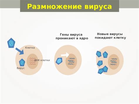 Как вирусы проникают в организмы