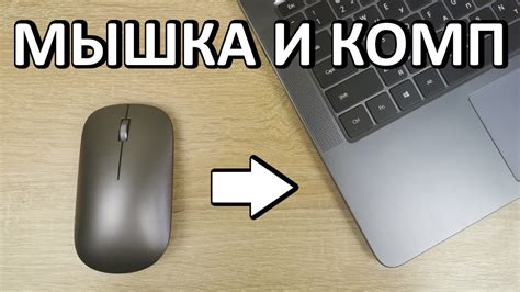 Как включить мышку на ноутбуке