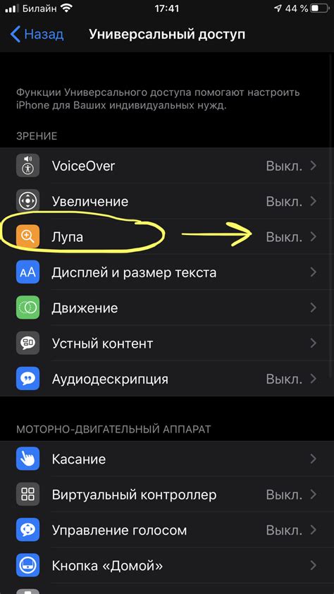 Как включить функцию лупа на iPhone