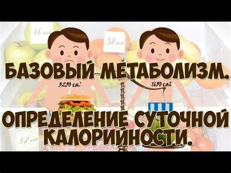 Как влияет Базальный метаболический балл на организм?