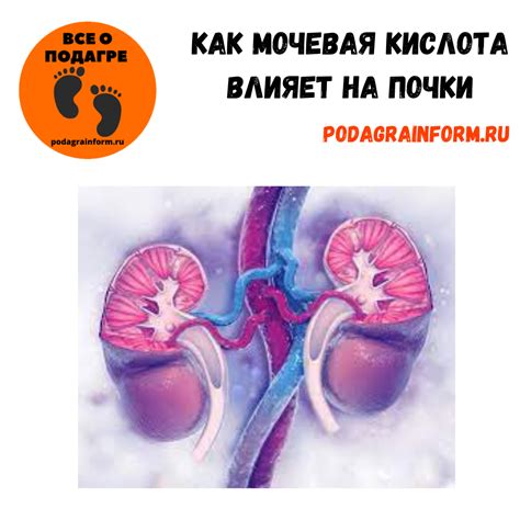 Как влияет мочевая кислота на суставы и почки?