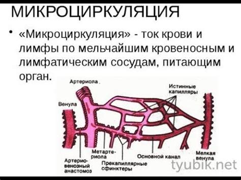 Как восстановить капиллярное кровоснабжение кожи: эффективные методы