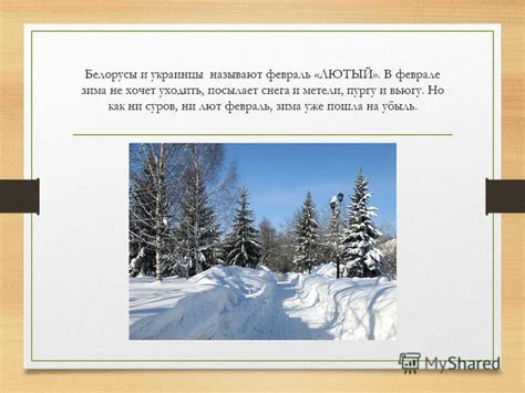 Как встретить холодную вьюгу в городе и на природе