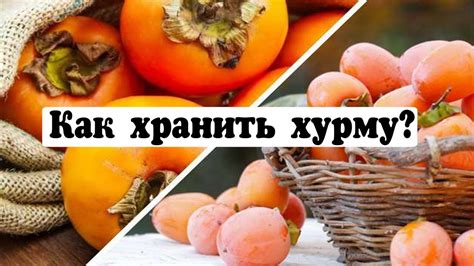 Как выбирать и хранить хурму для использования в программе по снижению веса