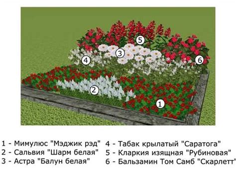 Как выбрать идеальное место для клумбы