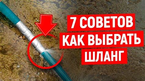 Как выбрать идеальный чудо шланг для вашего сада