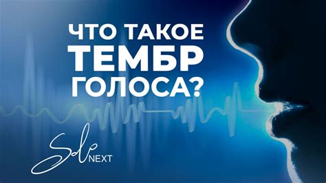 Как выбрать и установить желаемый тембр голоса