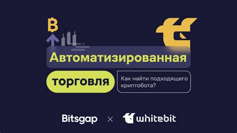 Как выбрать подходящего бота для торговли биткоином?