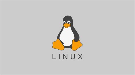 Как выбрать правильные настройки COM-порта в Linux