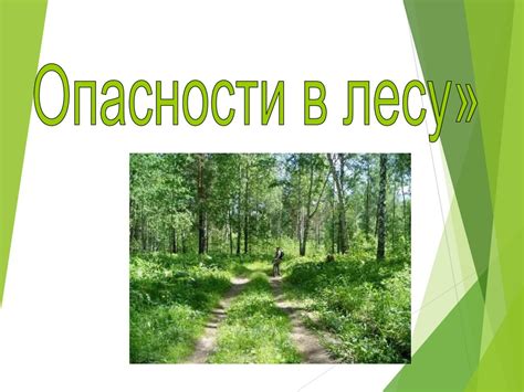 Как выбрать правильные слова и стиль для сообщения о опасности в лесу