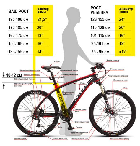 Как выбрать размер рамы велосипеда?