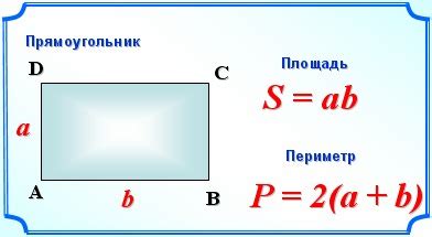 Как вычислить периметр прямоугольника