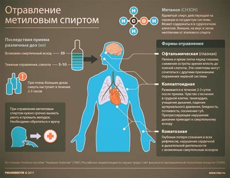 Как действует ДДТ на организмы: механизм воздействия и последствия