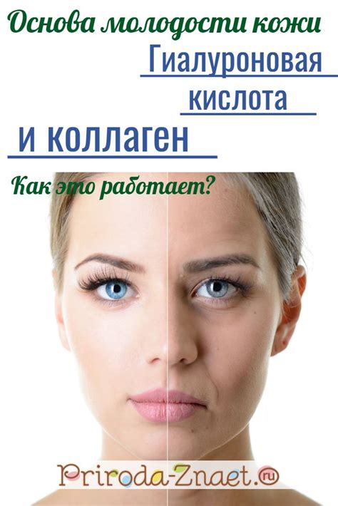 Как действует коллаген на организм?